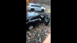 Black Bear Unpacks Car
