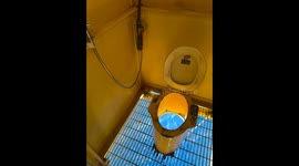 Man’s toilet view turns into 208 million-view marine spectacle on TikTok