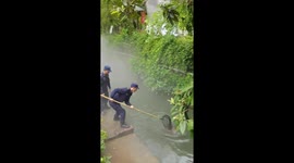 Wild muntjac rescued from canal by state officers in China