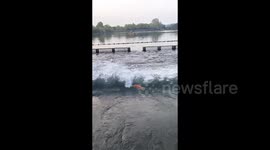 Tourists cheer as determined carp swim upstream against odds in China