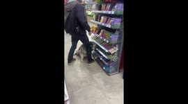 Dog sneaks off with chocolate bar from store in Tbilisi, Georgia