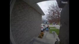 Doberman defends owner from attacking dog in Ontario, Canada