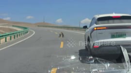Groundhogs block road during fight in Gansu, China