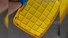 Washington State Trooper, WSDOT Help Mother Duck and Ducklings Off Freeway