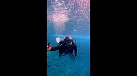 Swimming Through Hundreds of Jellyfish