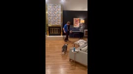 Border Collie Shows Off Soccer Skills