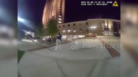 Detectives Go on Literal Wild Goose Chase in Illinois