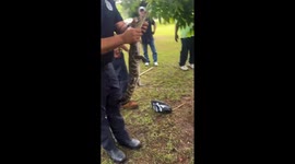 Three-Legged Alligator Safely Captured, Relocated in Hartford, Alabama