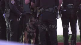 US, Los Angeles: Riverside Multiple People Stabbed At Sober Living Home Suspect Arrested Part 1 Graphic Content