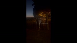 Horse scratches her itchy bottom on paddock fence