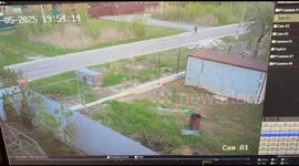 Alabai dog attacks six-year-old boy in Shatura, Moscow, Russia