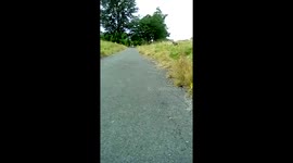 Boy, 6, takes out his dad with a bike