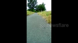 Boy, 6, takes out his dad with a bike