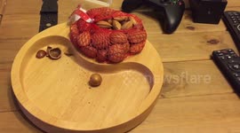 Going Nuts