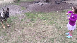 Little girl playing with her German Shepherd