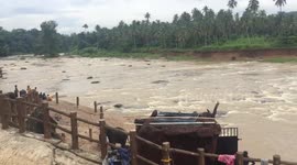 Elephant bath Sri Lanka