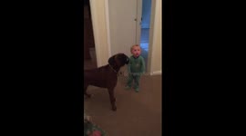 Dog and Toddler Training