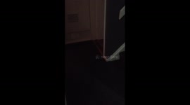 husband scares wife and daughter