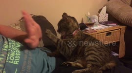 High Five