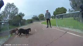Dog gets a fright when he notices a cyclist coming his way