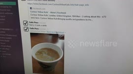 Thanks for the coffee