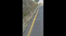 Two king cobras have mating ritual on roadside in Nepal