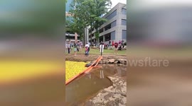 Thousands of rubber ducks race through park in South Carolina