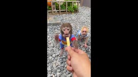 Baby monkeys Pika and Honey bicker over shared snacks