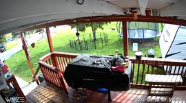 Huskies Trip Owner With Long Leashes