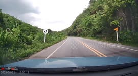 Uprooted tree crashes onto car during storm in Thailand