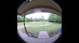 Man Falls Trying to Knock Down Wasp Nest