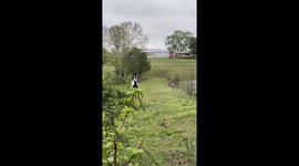 Horse Confused By Hooded Stranger That Sounds Like Mom