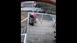 Backyard Playset Breaks While Kid Swings