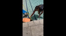 Woman Rescues Ducklings From Pool