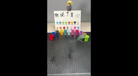 Little Bird Cleverly Sorts Colorful Litter