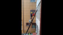 Firefighters Rescue Feisty Cat