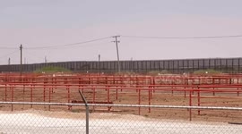 Mexico: US closes Mexico border to live cattle over screwworm outbreak