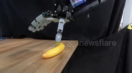 Switzerland: Robotic Hand Grasps Objects Like a Human Using Soft Materials