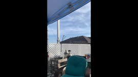 Pigeon Spins Around on Turbine Vent