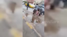 Libya: Egyptian Citizen Injured by Shellfire Amid Clashes in Tripoli