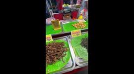 Tourist eats fried insects from street food market in Thailand