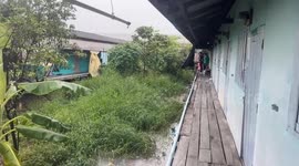 Horror as monitor lizard is found EATING alive a newborn baby