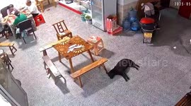 Terrifying moment truck's tyre crashes into home and hurtles towards family playing mahjong in China