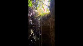 Horse stuck in ravine for two days is winched to safety