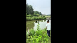 Crane rescue goes wrong as man briefly dunked in Hunan, China