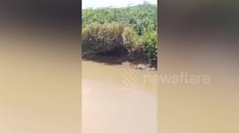 Crocodile kills farmer, 45, as he crosses river in Indonesia