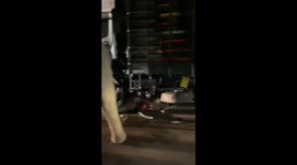 Heartbroken mother elephant tries to save baby hit by truck