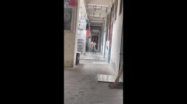 Child falls off bicycle after calling out to parent in Hubei, China