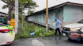 Monitor lizard found EATING newborn baby in Thailand