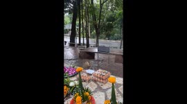 Monkey steals eggs from Buddhist donation table